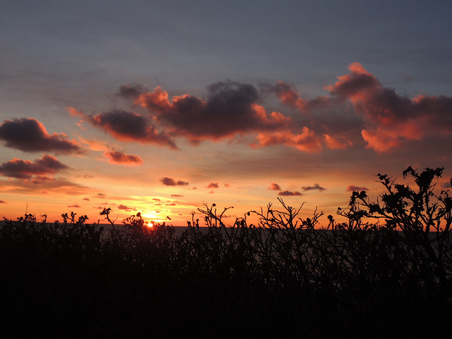 Sonnenuntergang Hiddensee