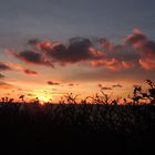 Sonnenuntergang Hiddensee