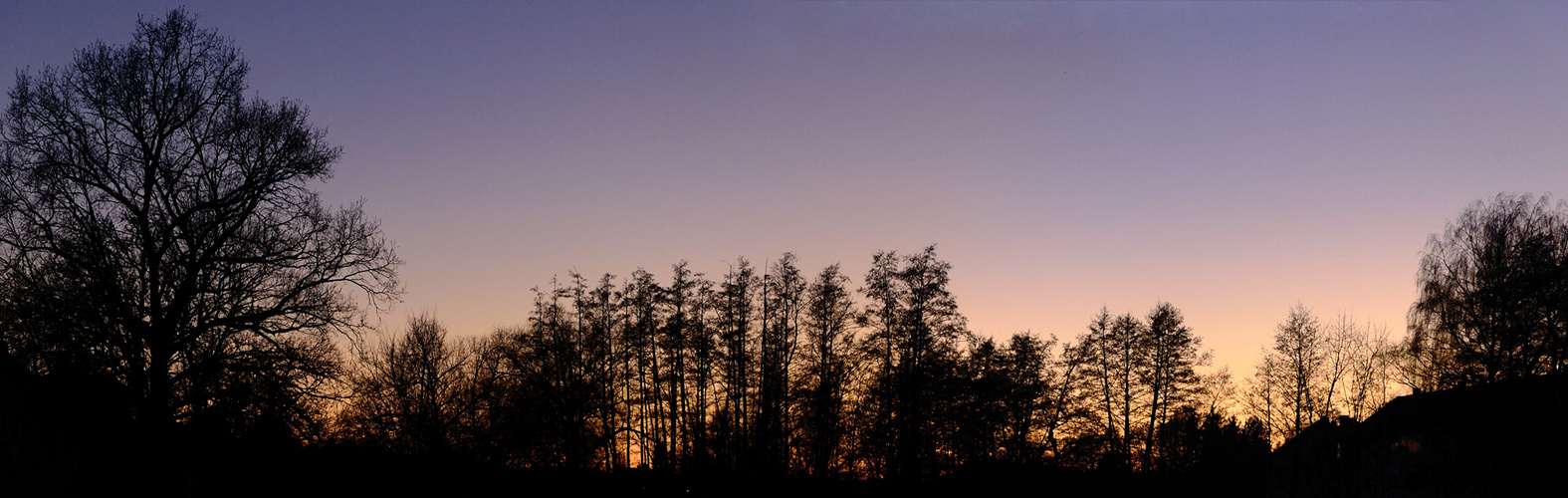 Sonnenuntergang hinter Bäumen