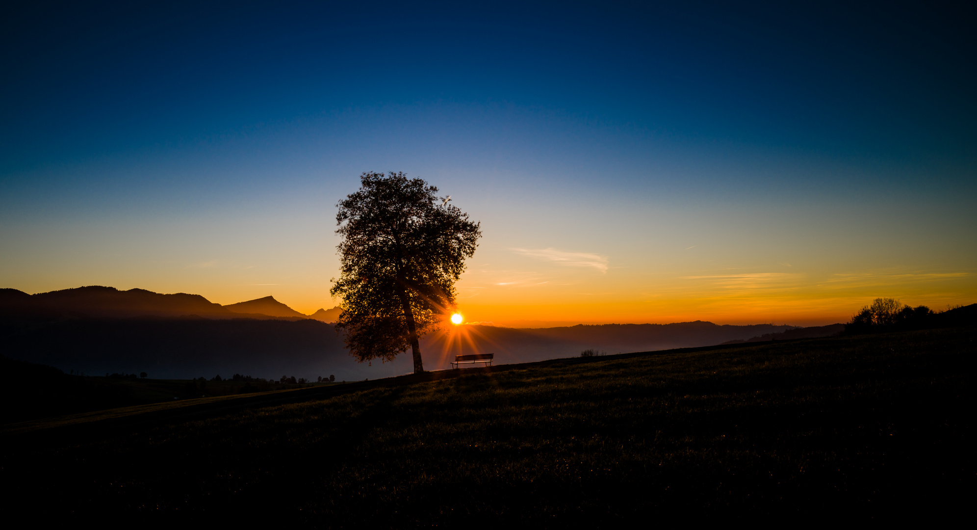Sonnenuntergang hinter Baum mit Bank