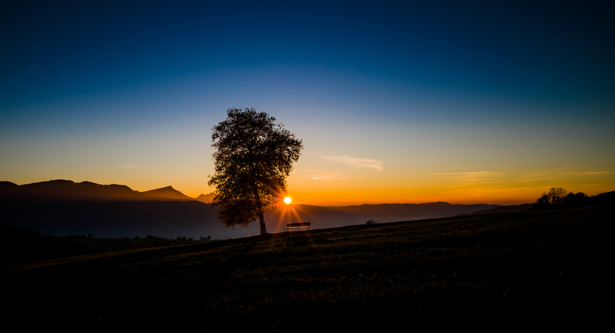 Sonnenuntergang Hinter Baum Mit Bank Foto Bild Sonnenuntergang Baum Natur Bilder Auf Fotocommunity