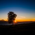 Sonnenuntergang hinter Baum mit Bank