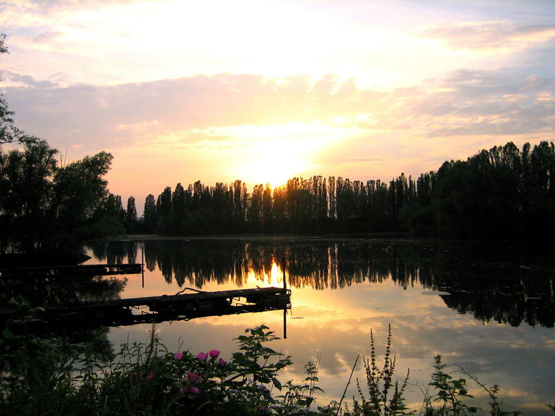 Sonnenuntergang hinter Baumwitweln