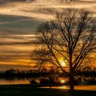 Sonnenuntergang hinter dem Baum