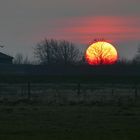 Sonnenuntergang hinter dem Deich an der Elbe