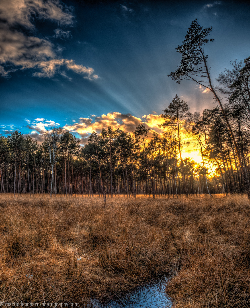 Sonnenuntergang hinter dem Moor