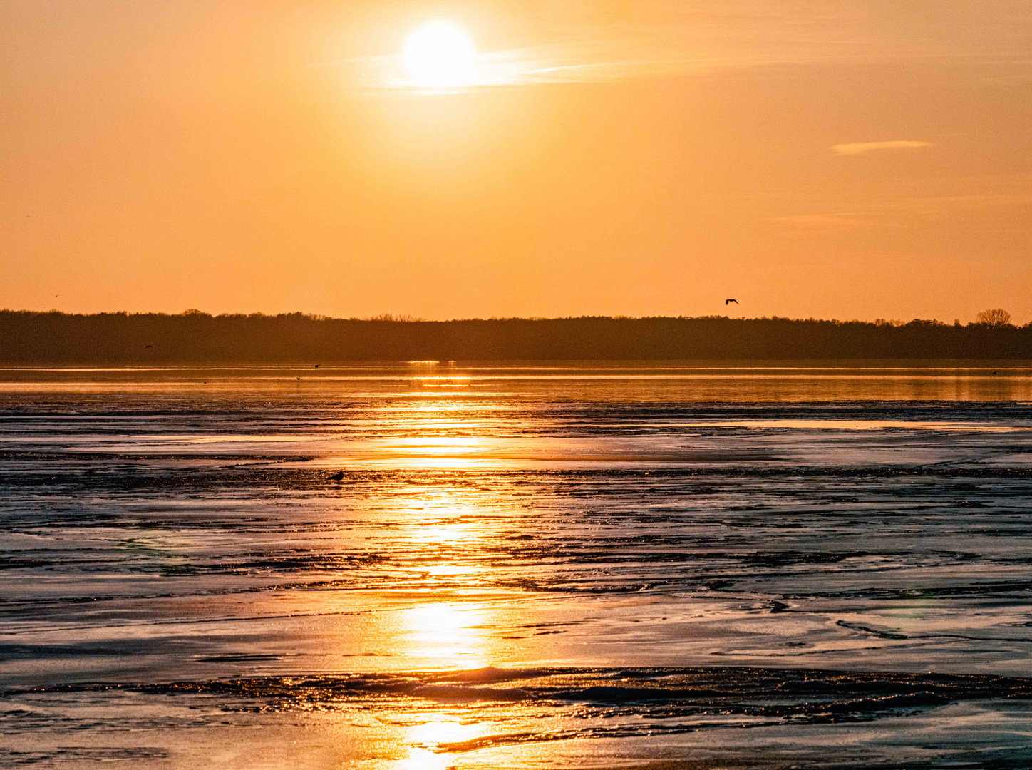 Sonnenuntergang hinter dem Müggelsee