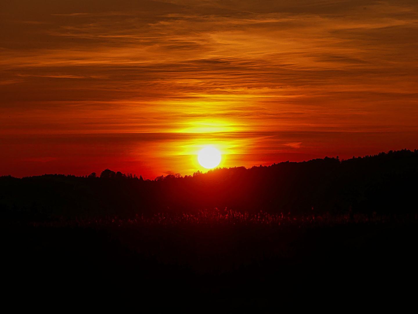 Sonnenuntergang hinter dem Murnauer Moos