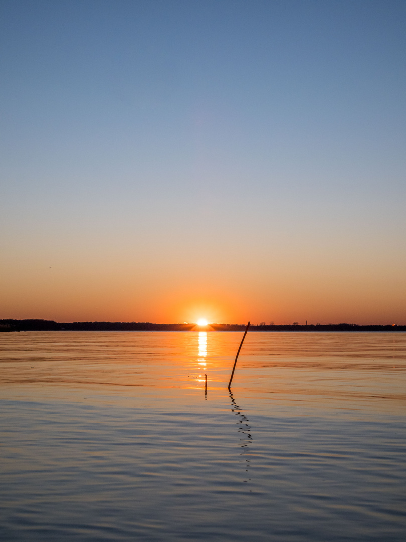 Sonnenuntergang hinter dem Schilfhalm