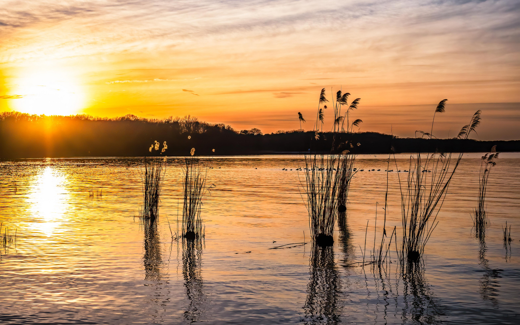 Sonnenuntergang hinter dem Wald