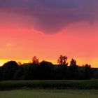 Sonnenuntergang hinter dem Wald