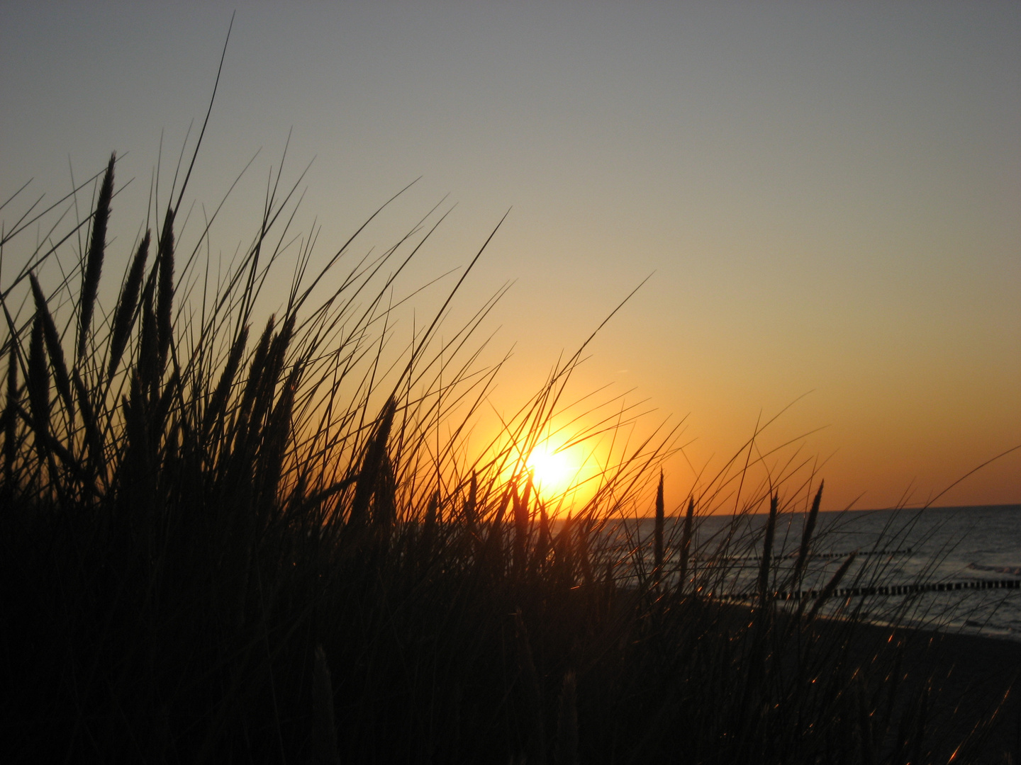 Sonnenuntergang hinter den Dünen