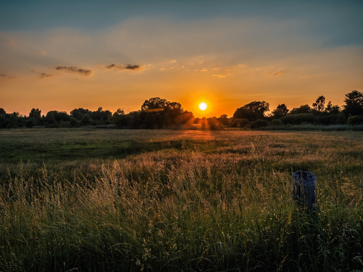 Sonnenuntergang hinter den Wiesen