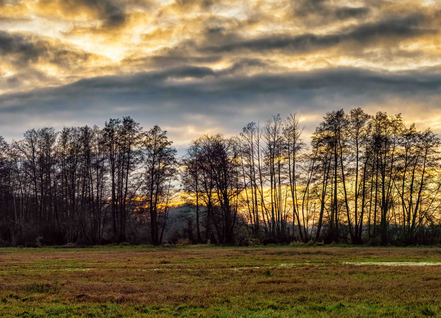 Sonnenuntergang hinter der Feuchtwiese