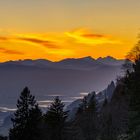 Sonnenuntergang hinter der Rigi