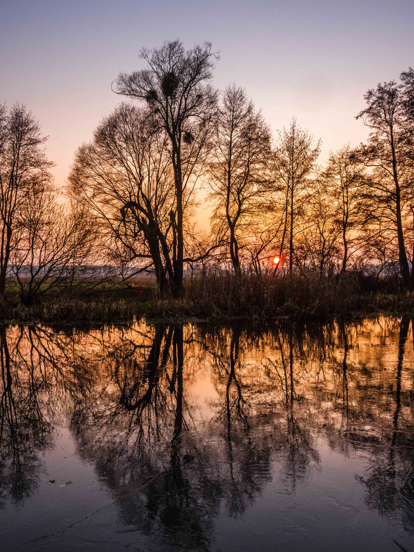 Sonnenuntergang hinter der Spree