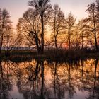 Sonnenuntergang hinter der Spree