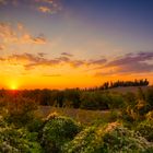 Sonnenuntergang hinter der Villa Poggio Manzuoli bei San Quirico d'Orcia (2)