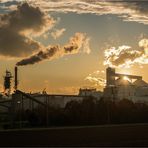 Sonnenuntergang hinter der Zuckerfabrik Klein Wanzleben