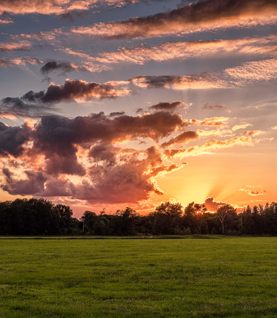 Sonnenuntergang hinter einer frisch gemähten Wiese