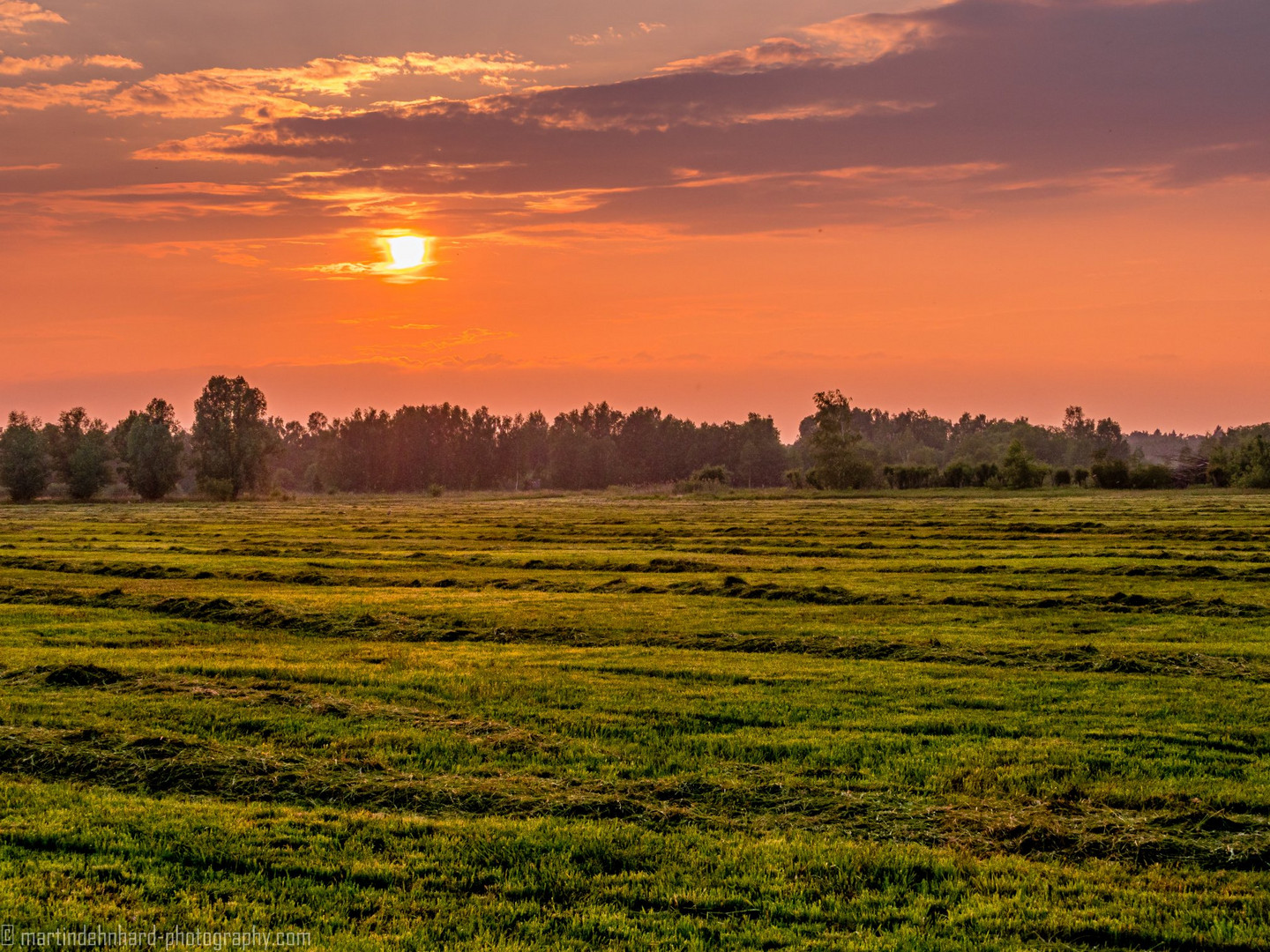 Sonnenuntergang hinter einer frisch gemähten Wiese