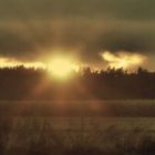 Sonnenuntergang hinter Feld und Wald