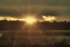 Sonnenuntergang hinter Feld und Wald