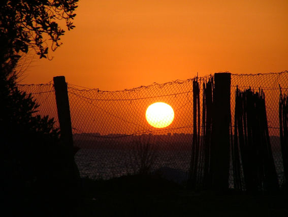 sonnenuntergang hinter gitter