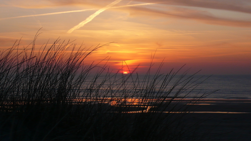 Sonnenuntergang hinter Halmen