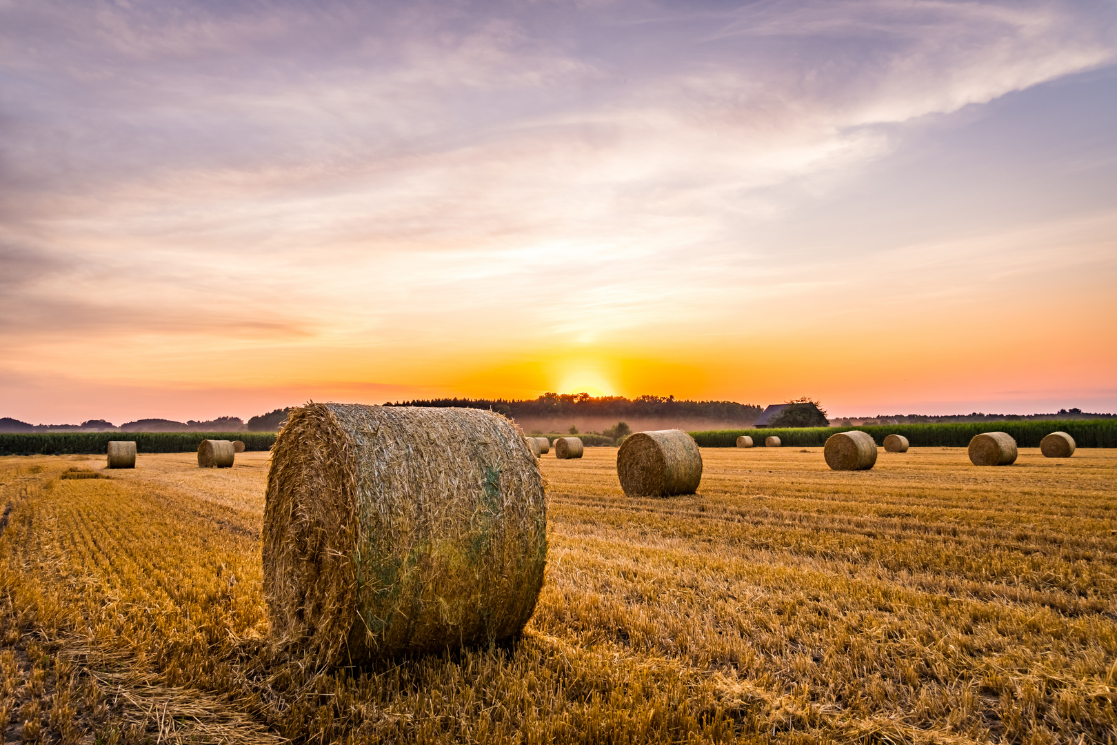 Sonnenuntergang hinter Heuballen