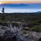 Sonnenuntergang hinter La Gomera