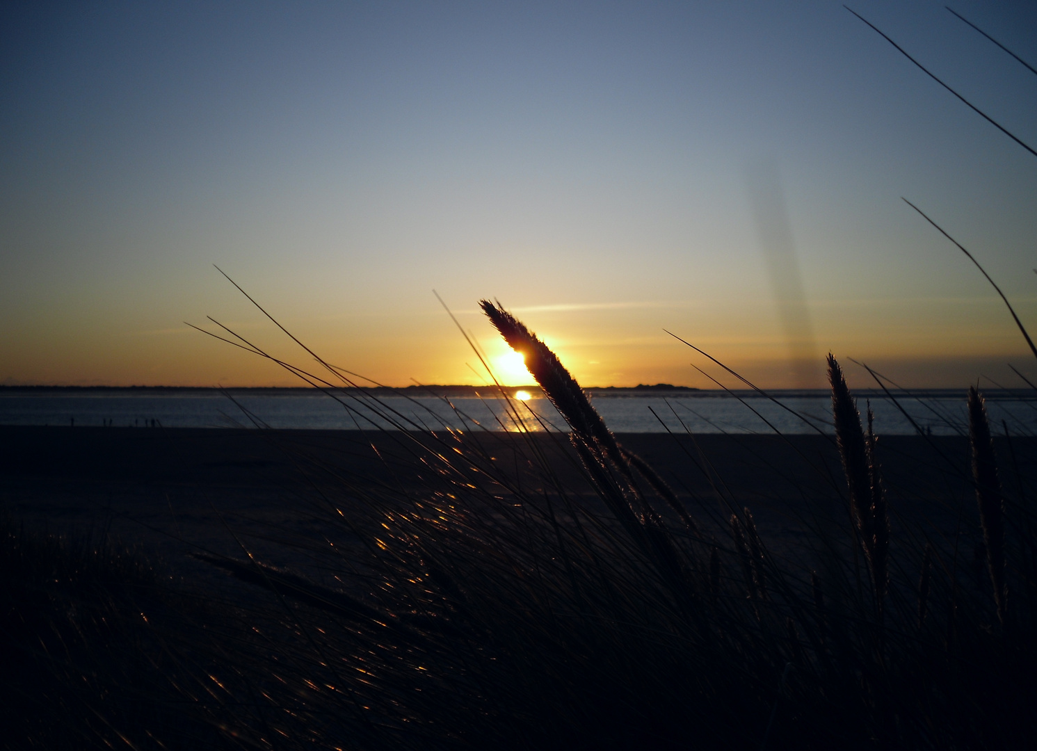 Sonnenuntergang hinter Pal.. ähh.. Schilf