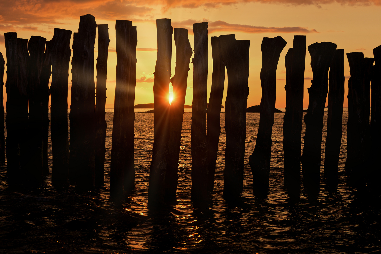 Sonnenuntergang hinter Palisaden