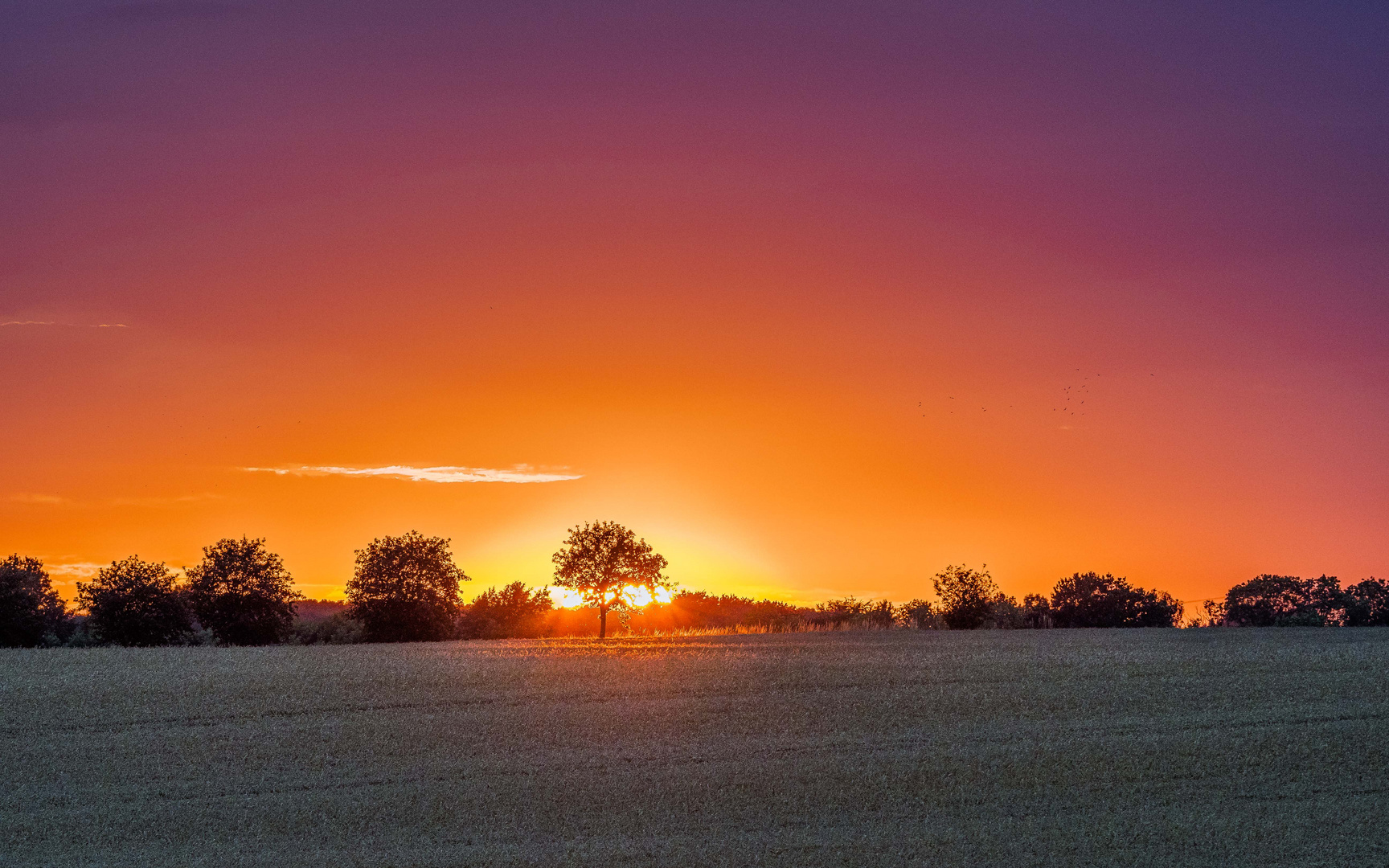 Sonnenuntergang hinter sanften Hügeln2