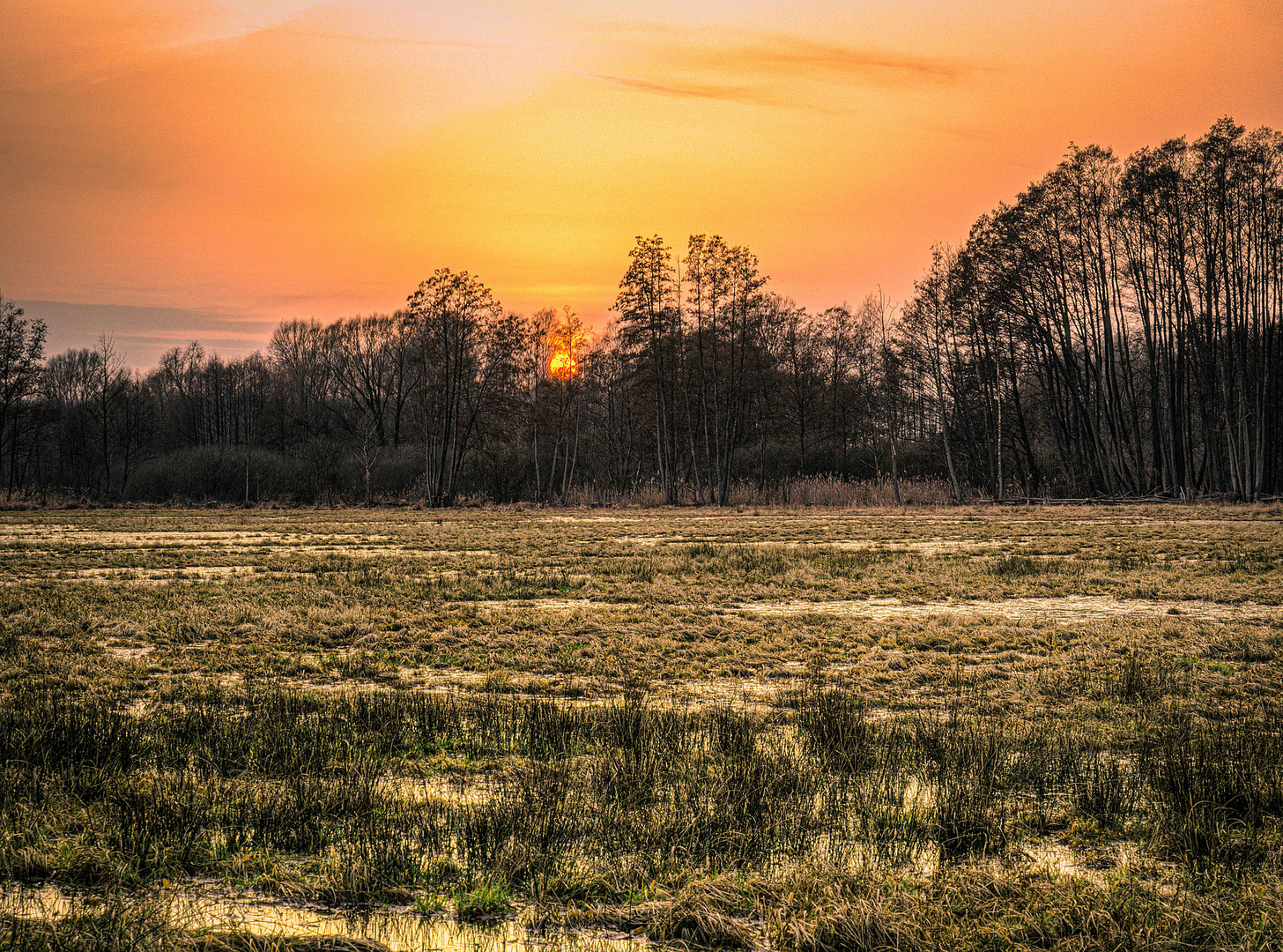 Sonnenuntergang hinter überfluteten Wiesen