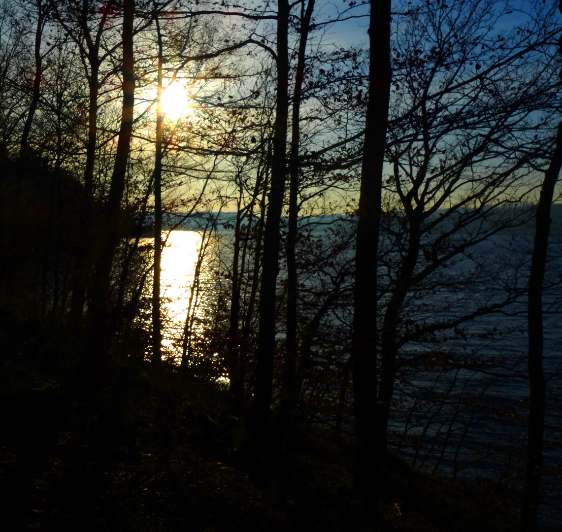 Sonnenuntergang hinter Uferböschung an einem See