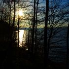Sonnenuntergang hinter Uferböschung an einem See