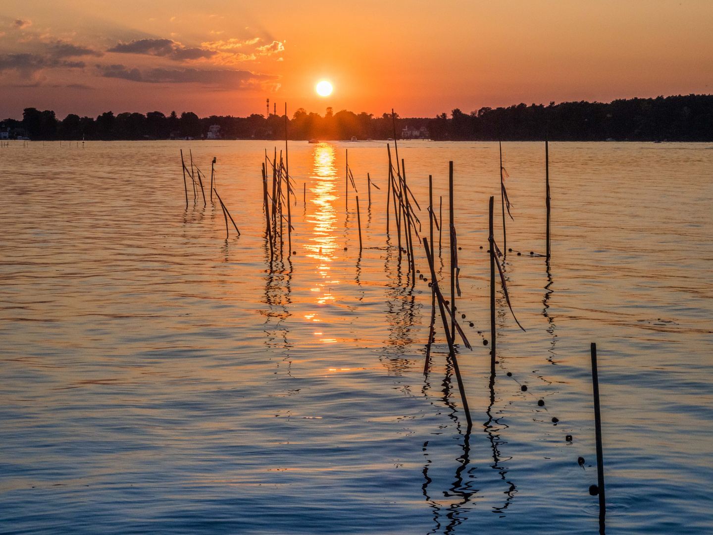 Sonnenuntergang hinter weissen Fähnchen