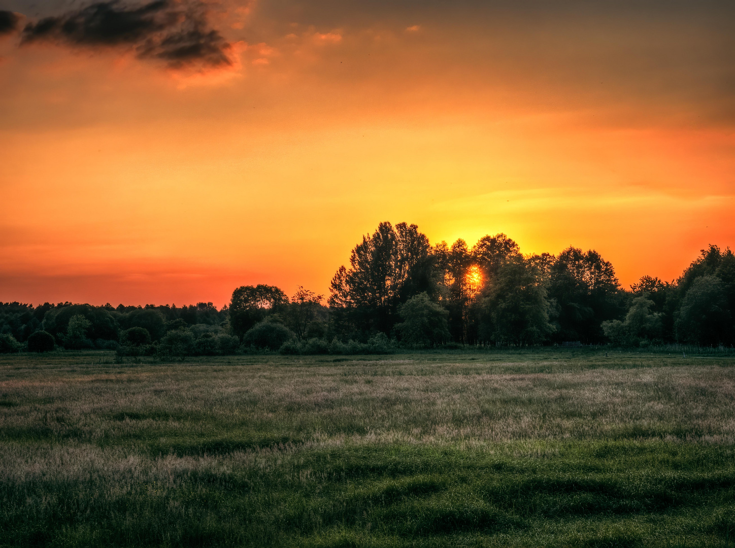 Sonnenuntergang hinter Wiesen und Wald