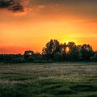 Sonnenuntergang hinter Wiesen und Wald