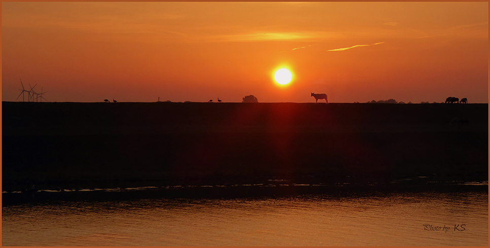 Sonnenuntergang hinterm Deich