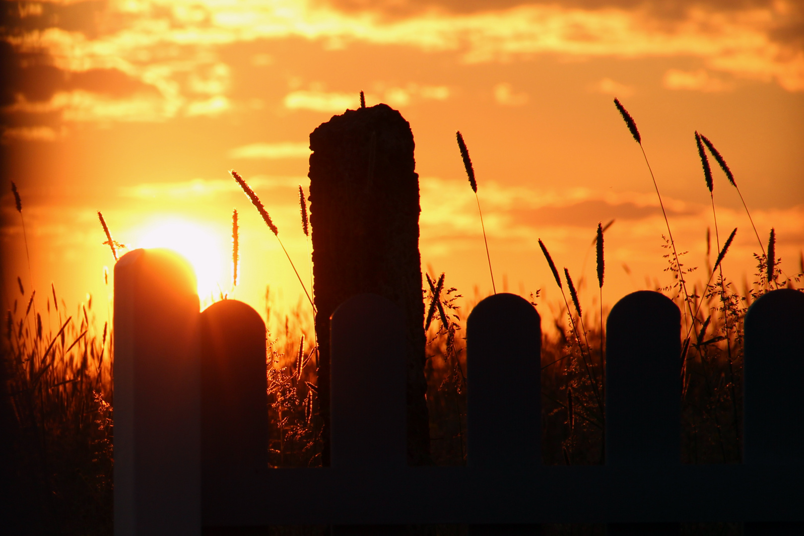 Sonnenuntergang hinterm Gartenzaun