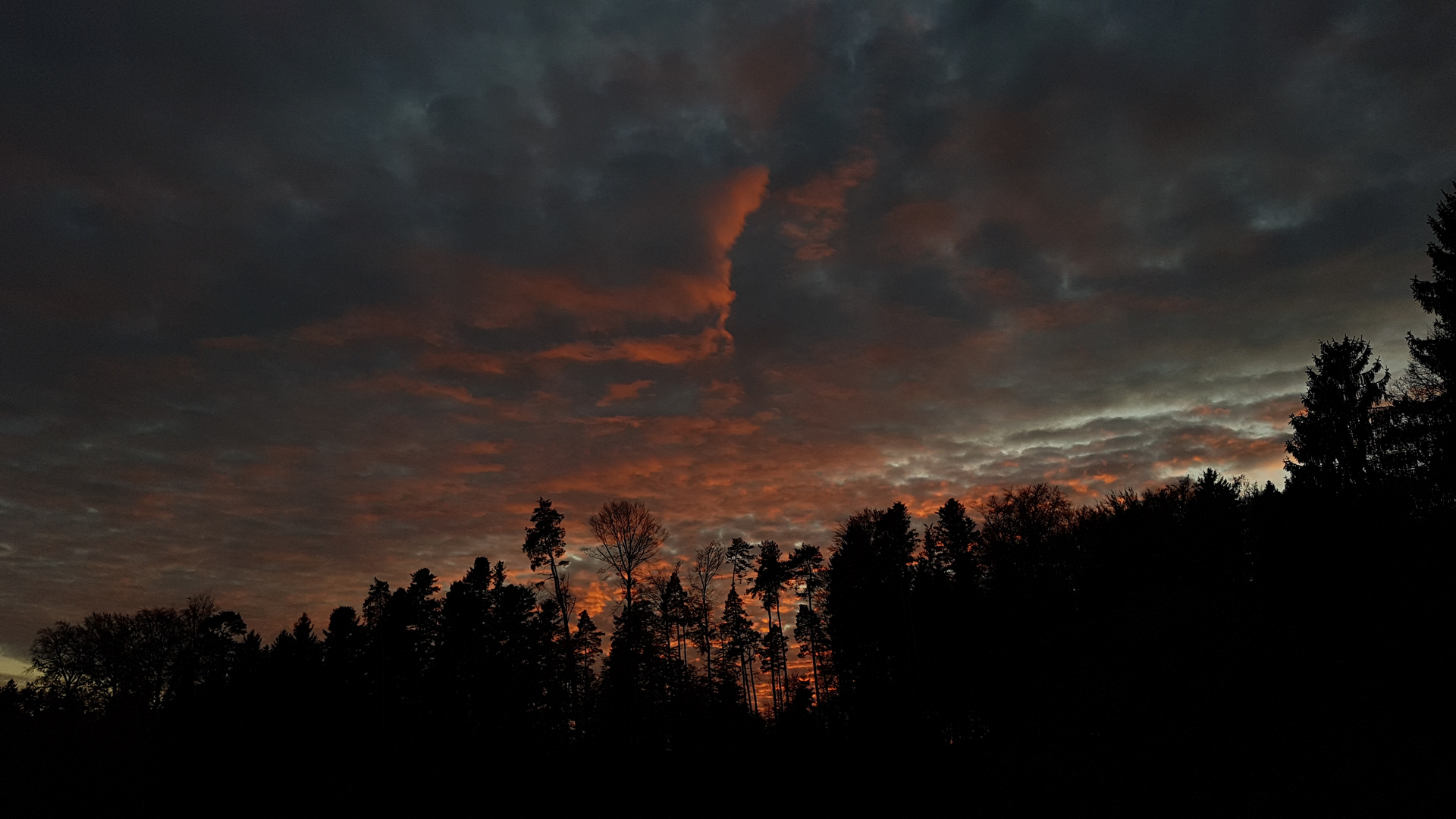 Sonnenuntergang hinterm Wald