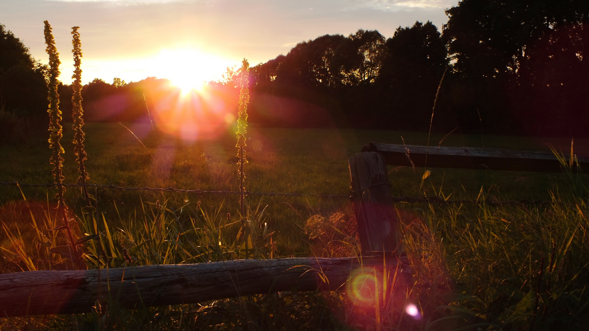 Sonnenuntergang hinterm Weidezaun