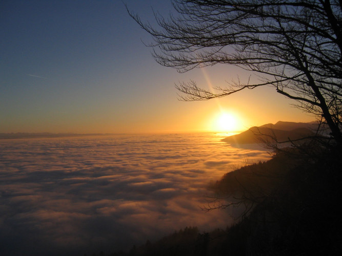 Sonnenuntergang. Höchiflue im Dezember 04