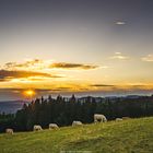 Sonnenuntergang Hornberg Schwarzwald 