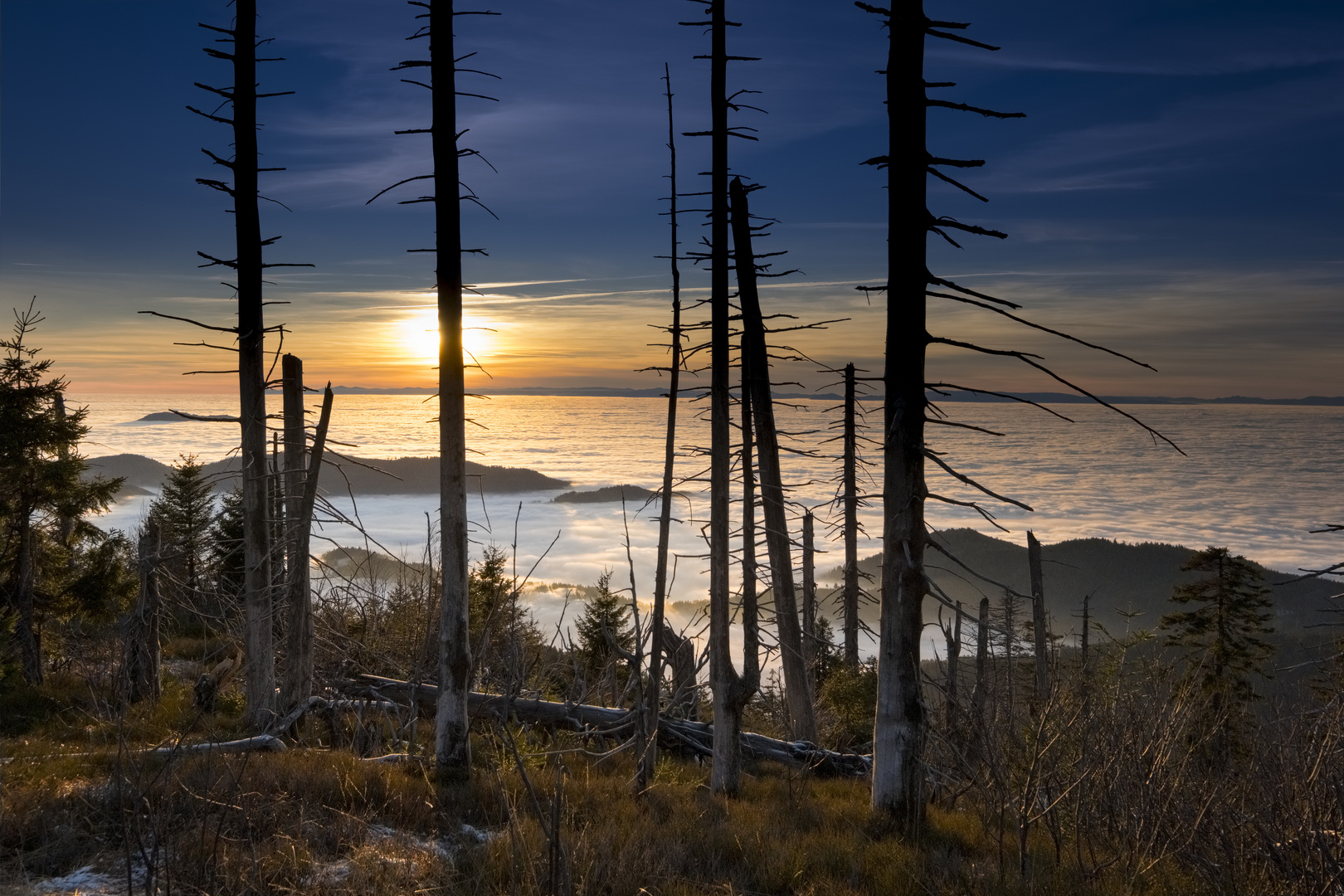 Sonnenuntergang - Hornisgrinde - Schwarzwald