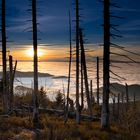 Sonnenuntergang - Hornisgrinde - Schwarzwald