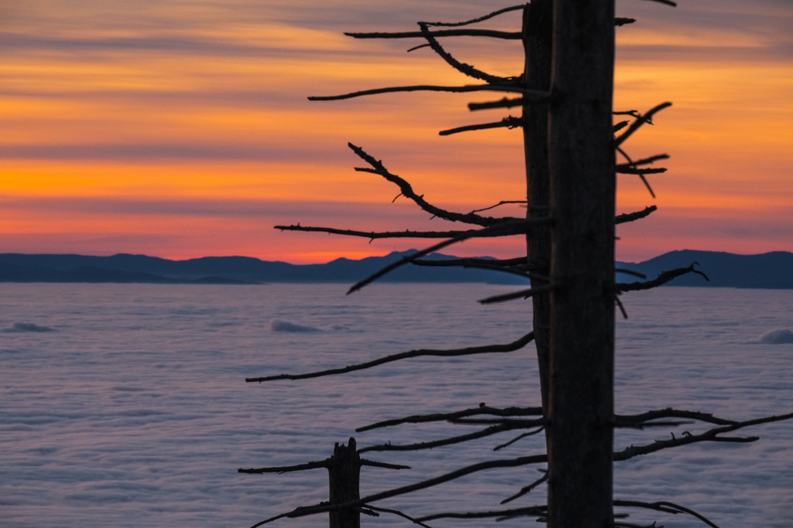 Sonnenuntergang Hornisgrinde - Vogesenblick