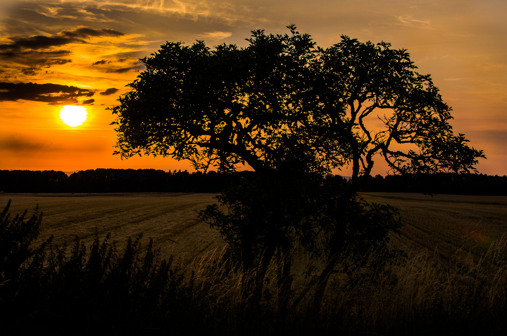 Sonnenuntergang Hunsrück